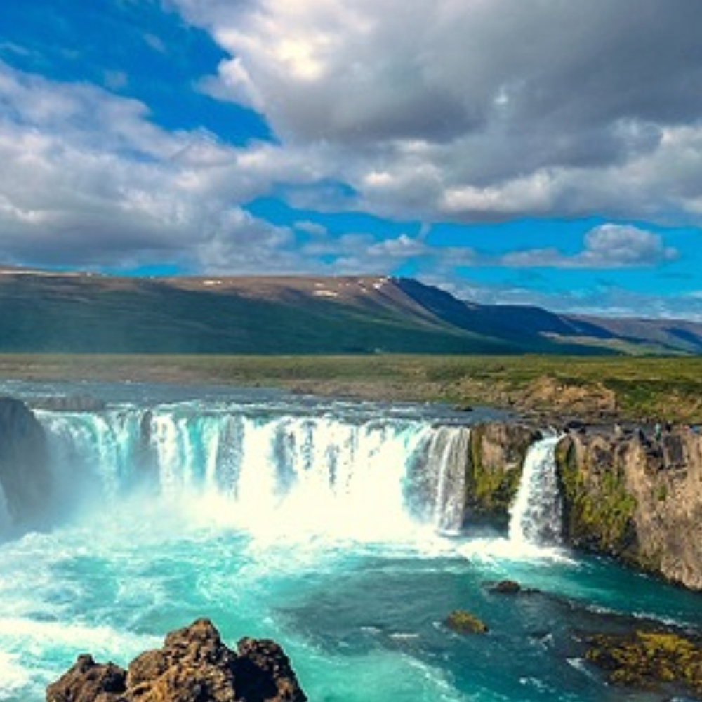 Meet your Posher, Rellie P